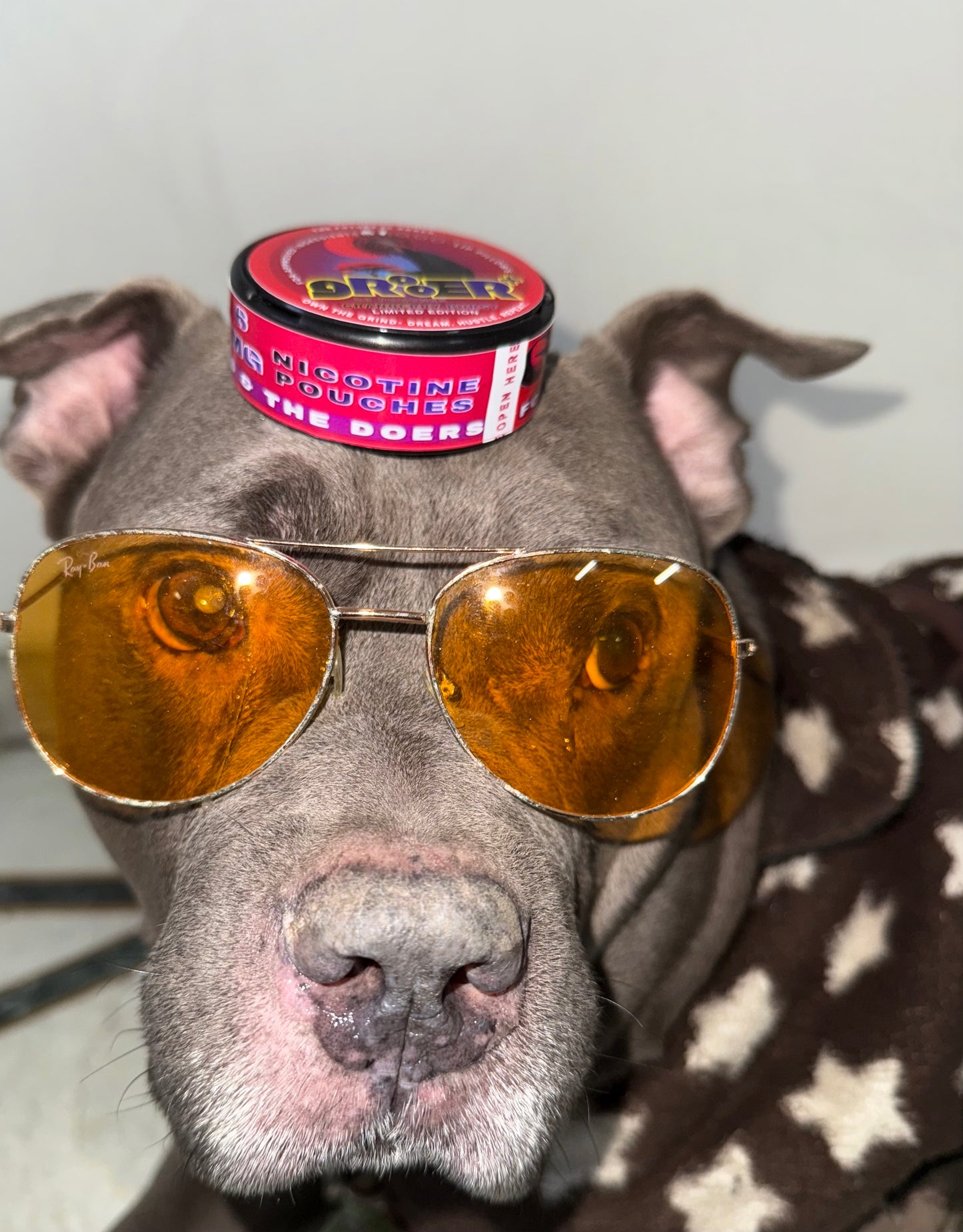 GR8ER Cranberry Burst 6mg Nicotine Pouches – Long-Lasting Flavor • Smooth Nicotine Hit • Sugar-Free • Tobacco-Free • Ultra-Fresh Cranberry Pouch